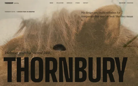 Thornbury Digital v6: the wordmark THORNBURY in black across a full-bleed film of golden sand ripples in raking light, with the line &lsquo;Websites worth a second look.&rsquo; above it.