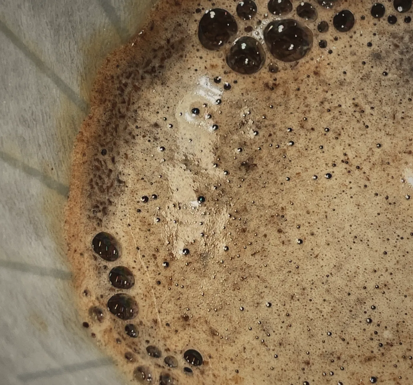 Close-up of a real bloom in a paper filter: tan foam packed with small bubbles, larger glassy bubbles along the edge.