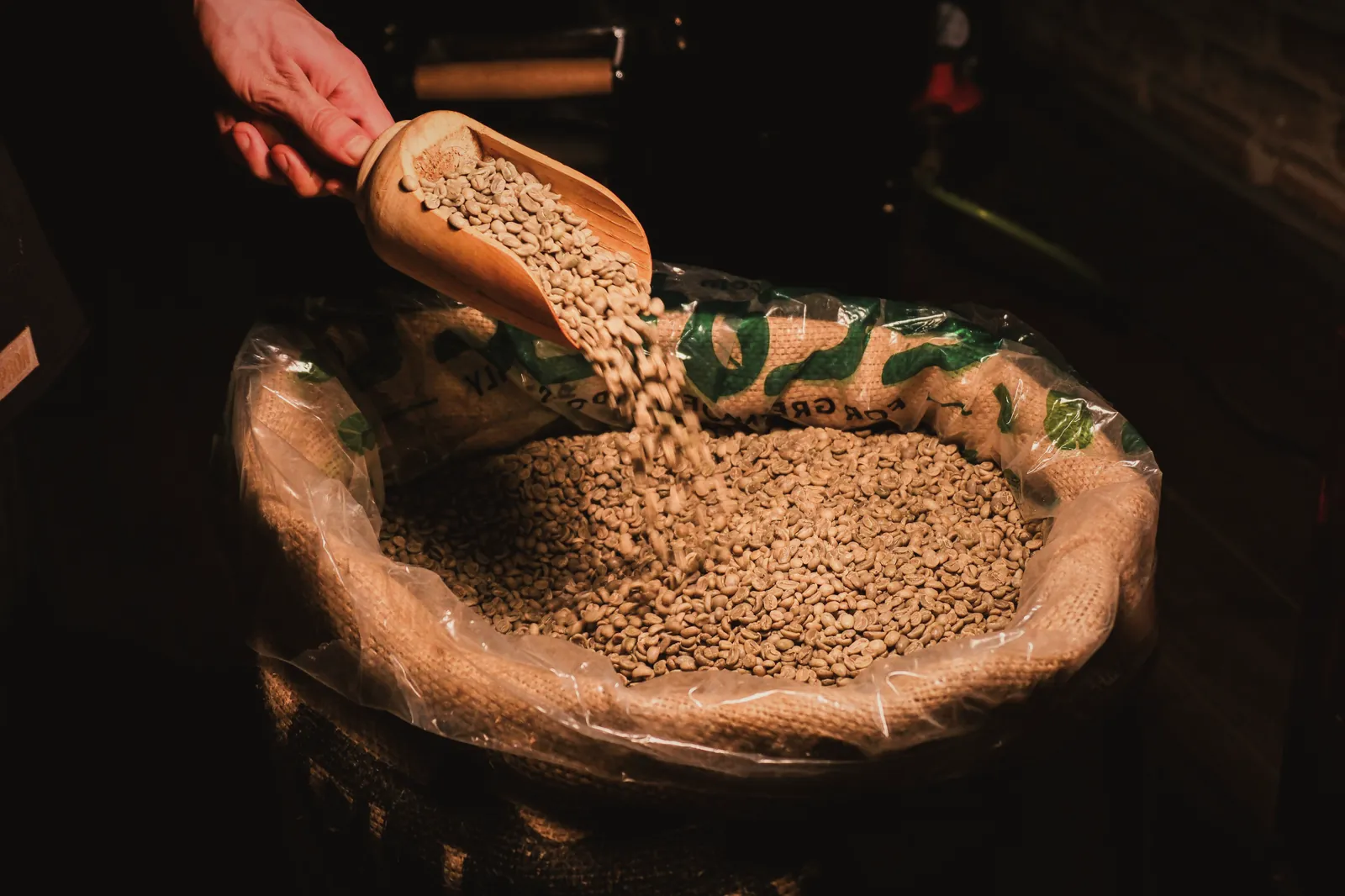 A metal scoop pouring pale green coffee beans into a lined sack, in low light.