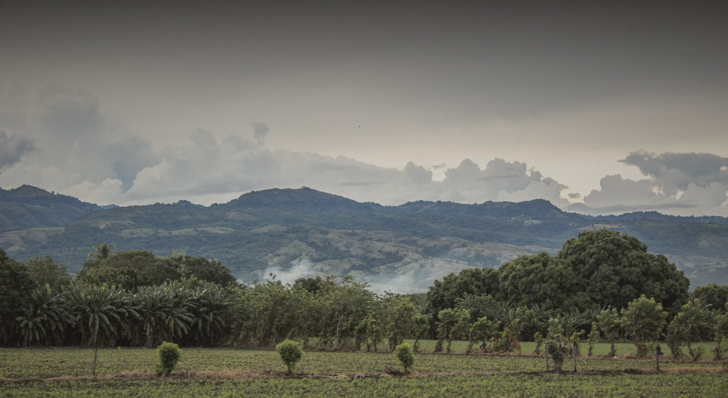 A valley under low cloud, forested ridges in the distance and mist rising from the trees.