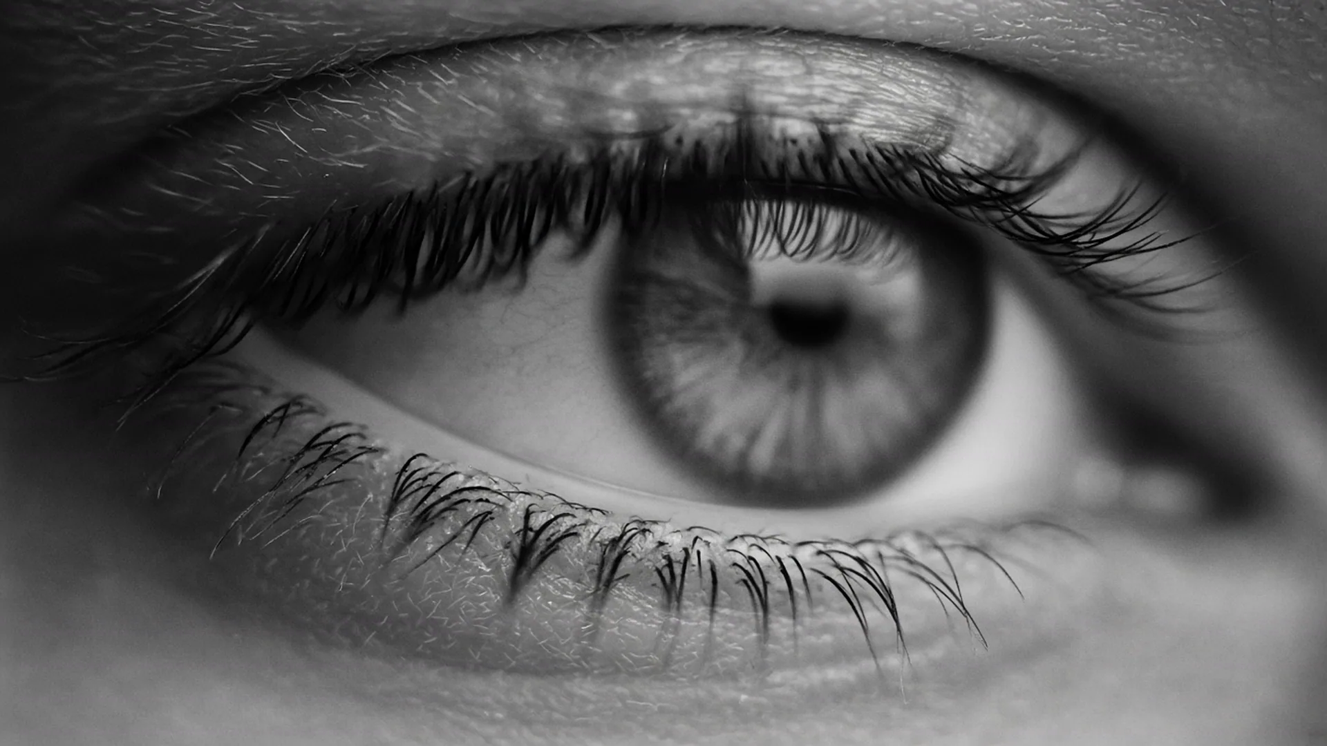 Extreme close-up of a human eye in black and white.