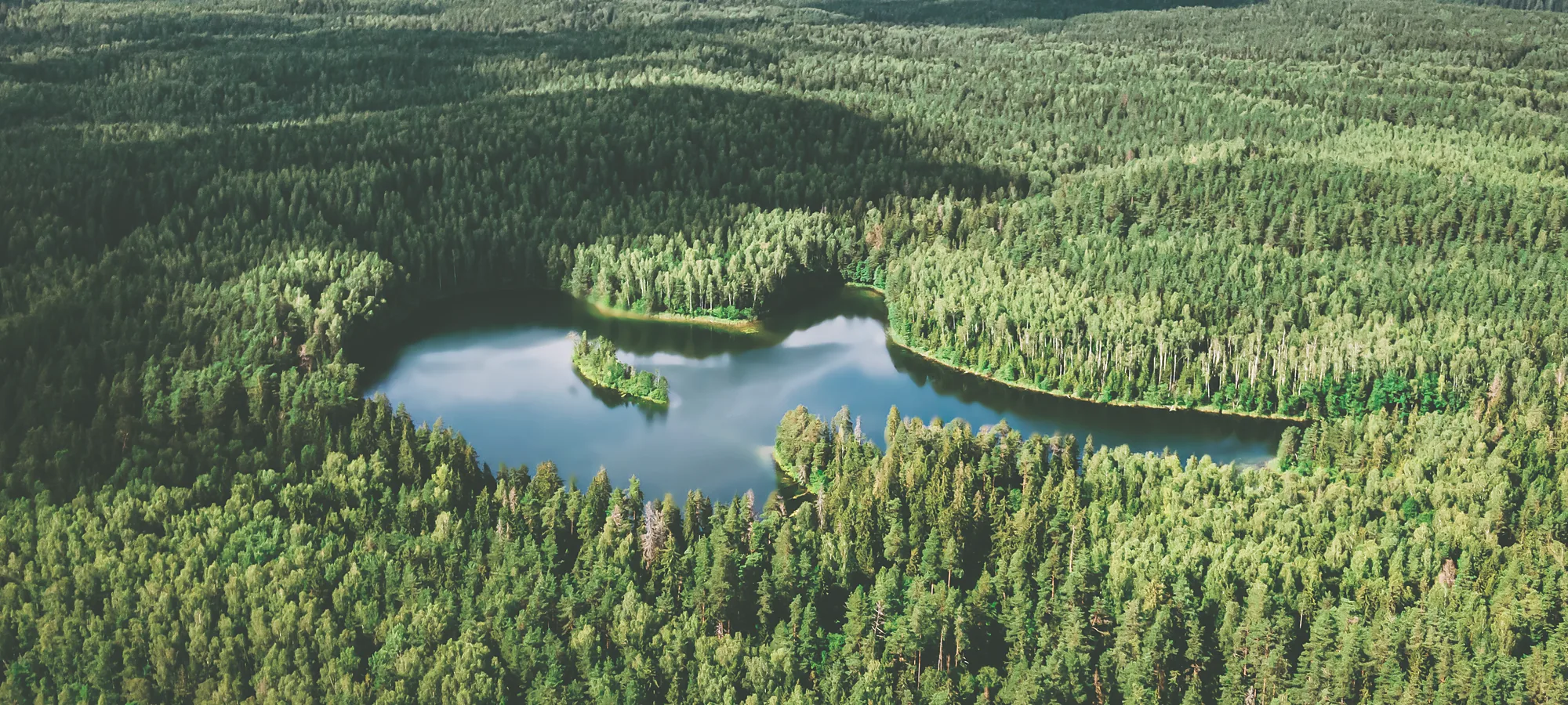 Loch Ardvren from the air: a long loch with a wooded island, pine forest to every horizon