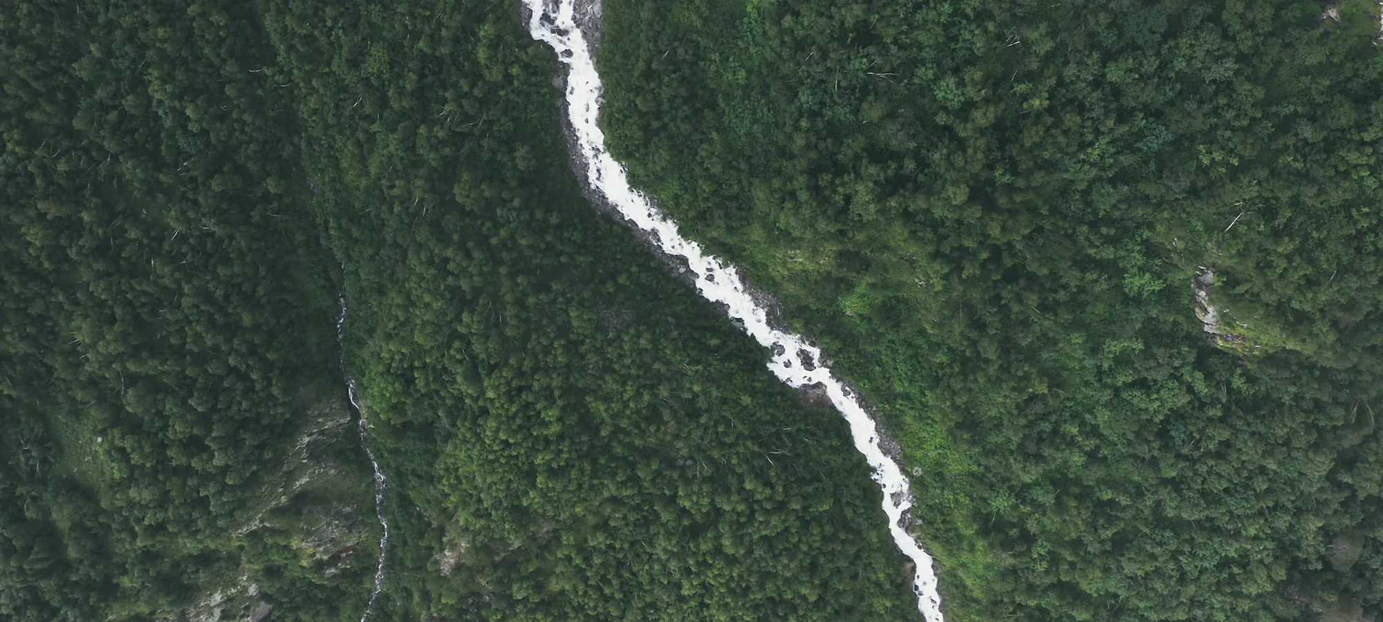 The Allt Ardvren burn cutting white through the pine canopy, seen from above