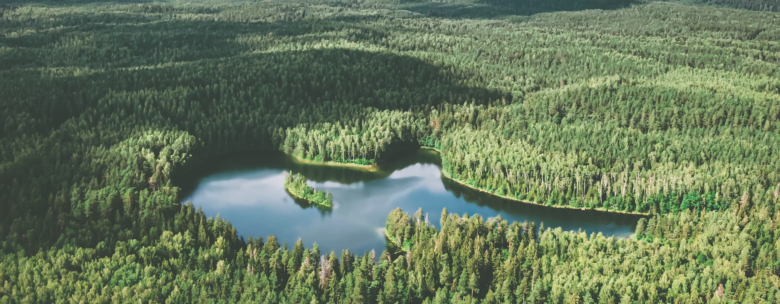 Loch Ardvren from the air, its wooded island and the pine forest running to every horizon