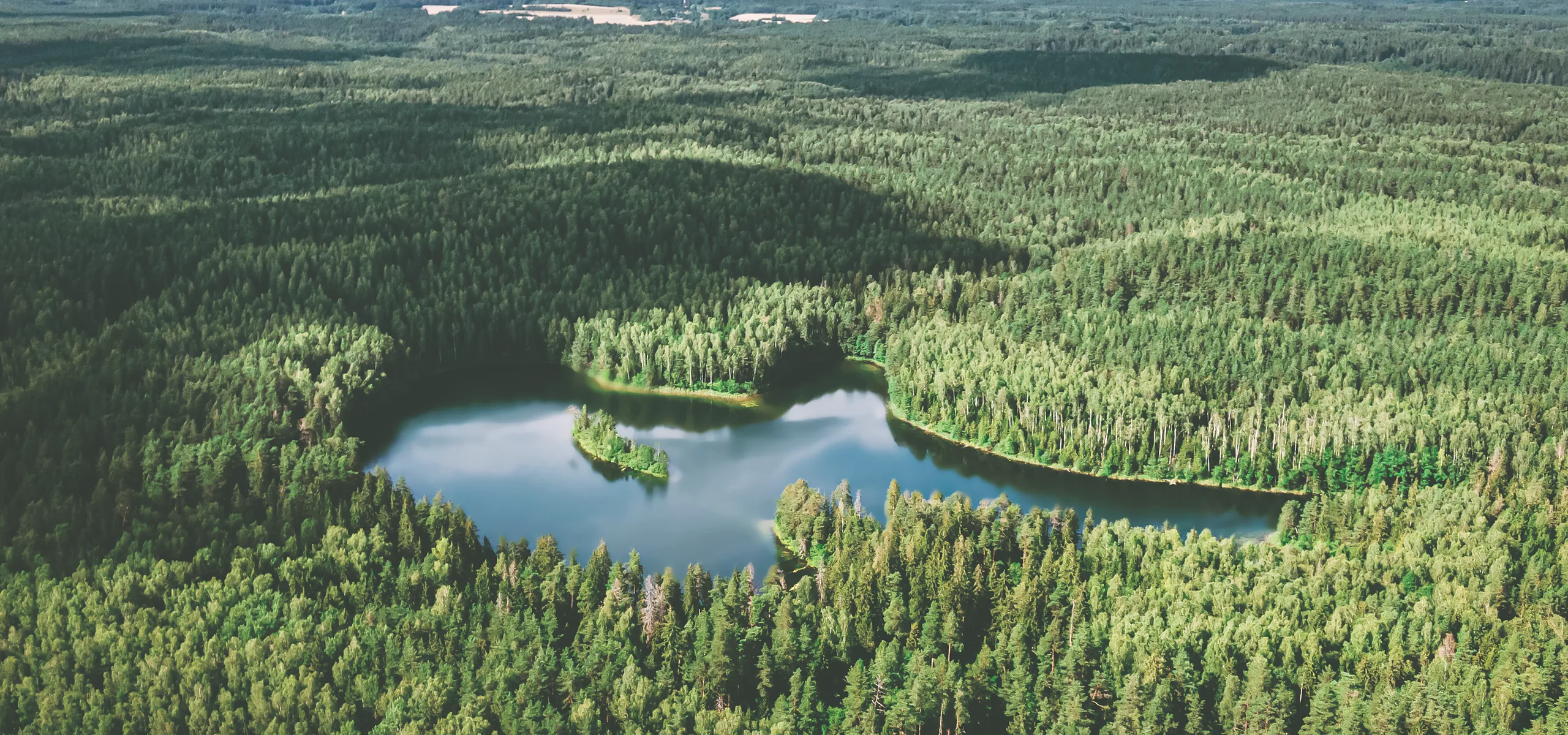 Loch Ardvren from the air: the long loch, its wooded island, pine to every horizon