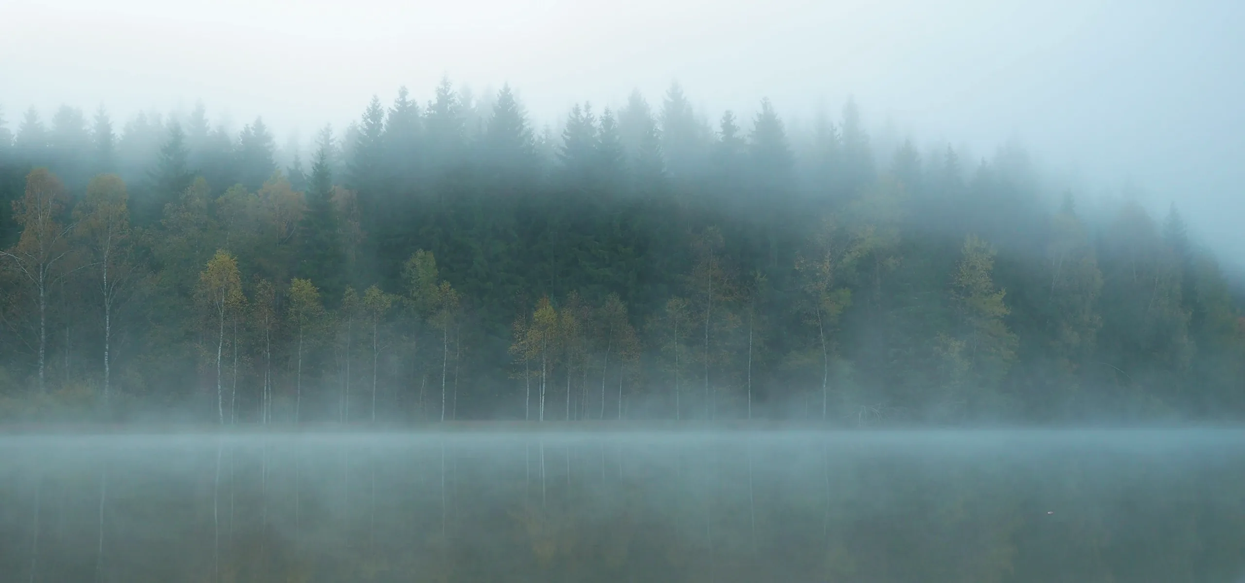 Fog lifting off Loch Ardvren at seven in the morning, the pines of the south shore behind it