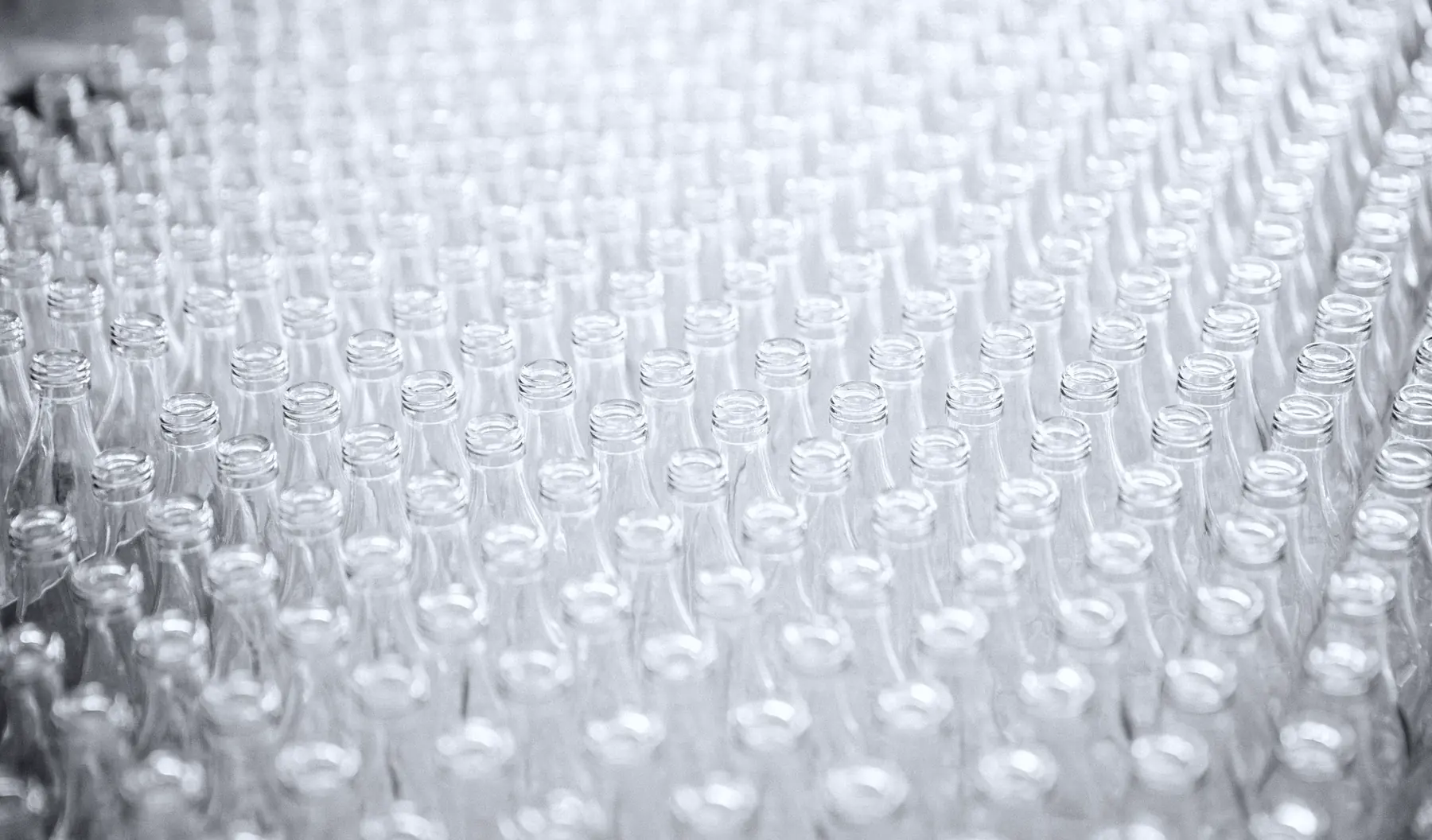 A dense field of empty clear glass bottles, photographed close and low.