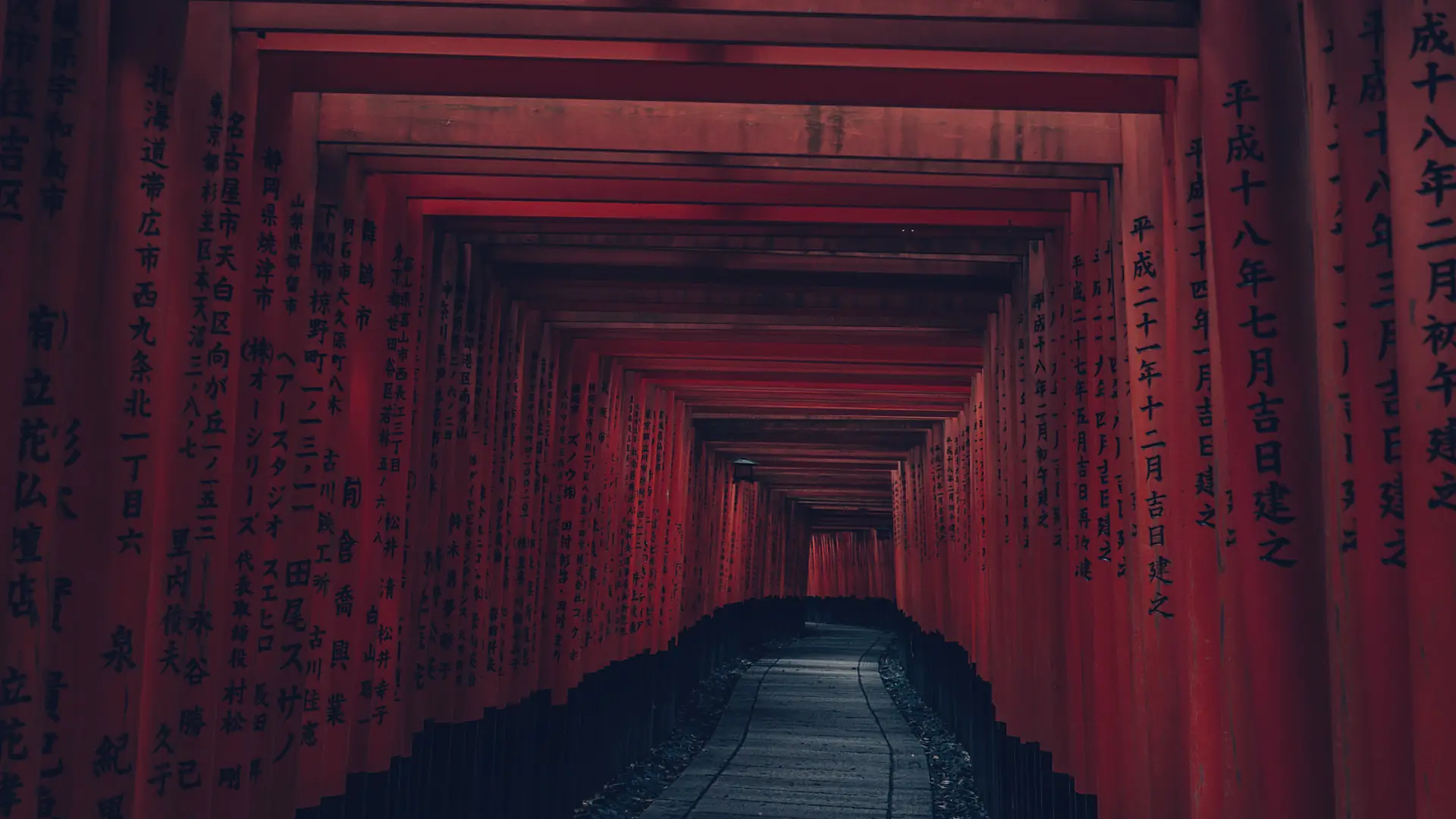 The Senbon Torii at Fushimi Inari, Kyoto, before dawn