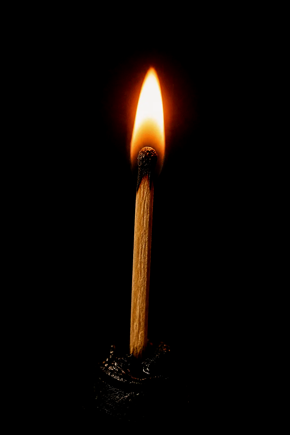 A single struck wooden match standing in darkness, teardrop flame, no hand in frame.